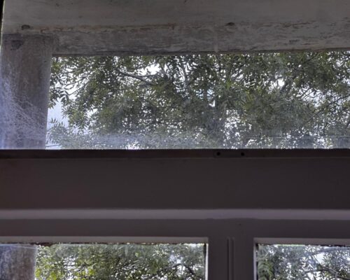 IMG-20250812-WA0029-500x400