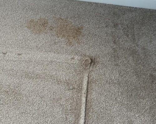 IMG-20250812-WA0037-500x400