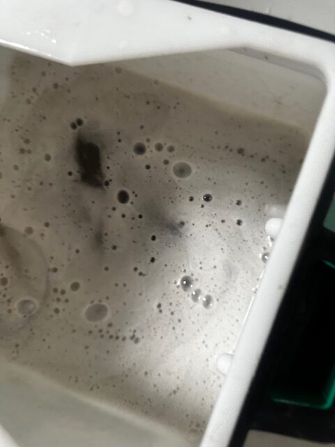 carpet cleaning torrace